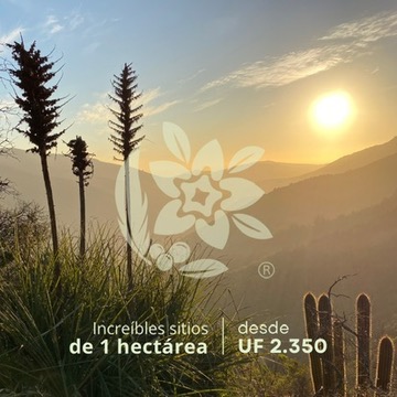 A 15 kms de Maitencillo